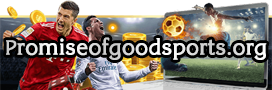 logo promiseofgoodsports